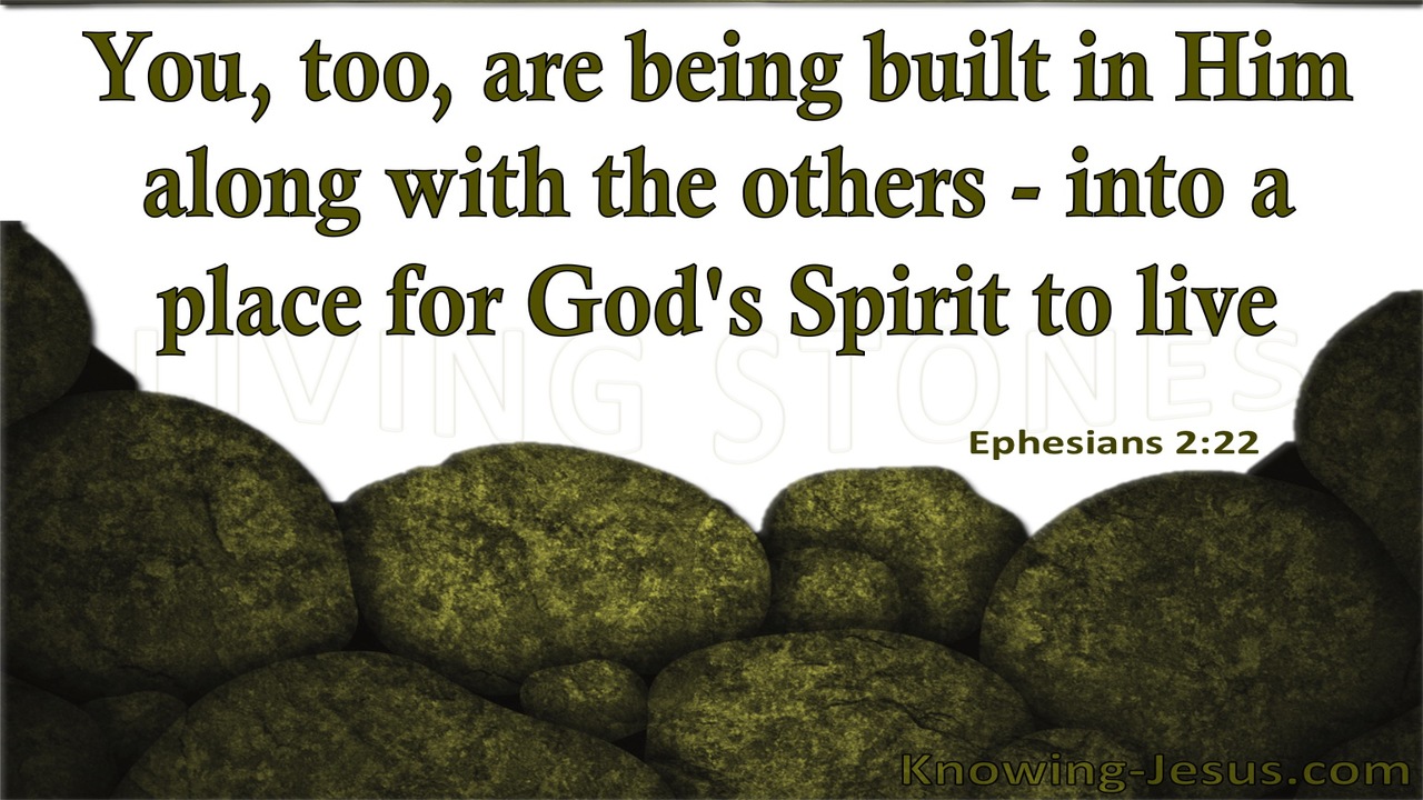 Ephesians 2:22 Built Into A Dwelling Place For God (green)